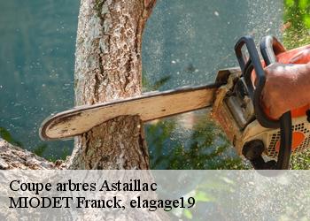 Coupe arbres  astaillac-19120 MIODET Franck, elagage19