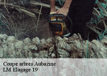 Coupe arbres  aubazine-19190 LM Elagage 19