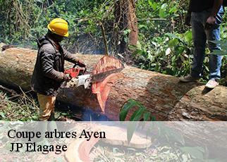 Coupe arbres ayen-19310 JP Elagage