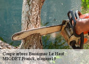 Coupe arbres  bassignac-le-haut-19220 MIODET Franck, elagage19
