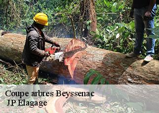 Coupe arbres beyssenac-19230 JP Elagage
