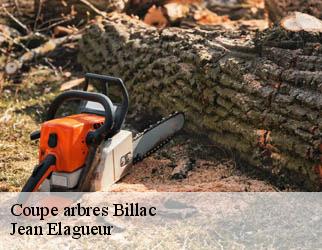 Coupe arbres billac-19120 Jean Elagueur