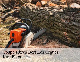 Coupe arbres  bort-les-orgues-19110 Jean Elagueur