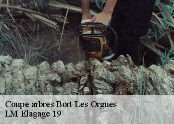 Coupe arbres  bort-les-orgues-19110 LM Elagage 19