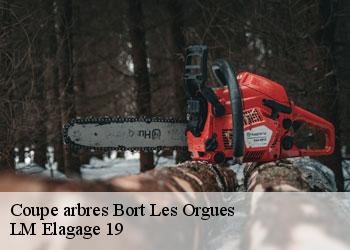 Coupe arbres  19110