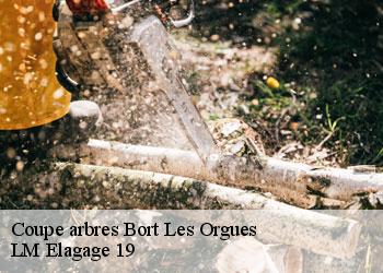 Coupe arbres  19110