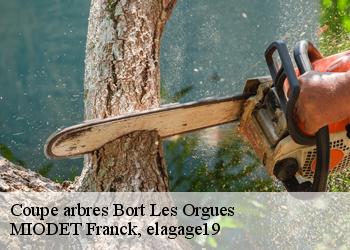 Coupe arbres  bort-les-orgues-19110 MIODET Franck, elagage19