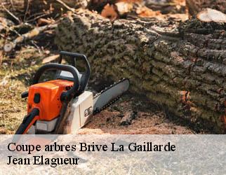 Coupe arbres brive-la-gaillarde-19100 Jean Elagueur