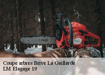 Coupe arbres 19100