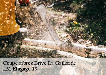 Coupe arbres 19100