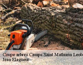 Coupe arbres  camps-saint-mathurin-leobaze-19430 Jean Elagueur
