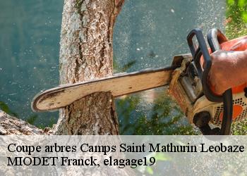 Coupe arbres  camps-saint-mathurin-leobaze-19430 MIODET Franck, elagage19