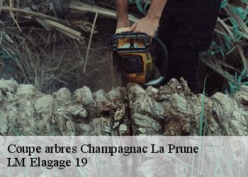 Coupe arbres  champagnac-la-prune-19320 LM Elagage 19