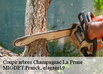 Coupe arbres  champagnac-la-prune-19320 MIODET Franck, elagage19