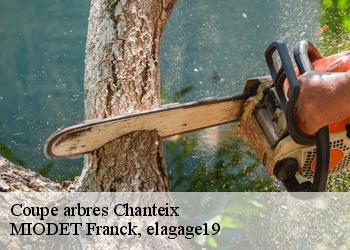 Coupe arbres  chanteix-19330 MIODET Franck, elagage19