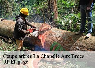 Coupe arbres la-chapelle-aux-brocs-19360 JP Elagage