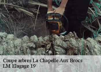 Coupe arbres la-chapelle-aux-brocs-19360 LM Elagage 19