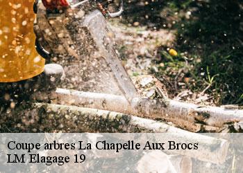 Coupe arbres 19360