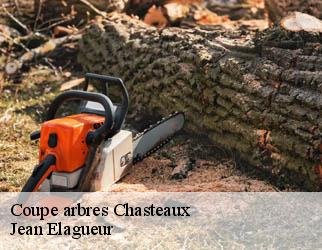 Coupe arbres  chasteaux-19600 Jean Elagueur