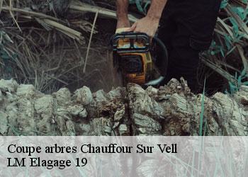 Coupe arbres chauffour-sur-vell-19500 LM Elagage 19