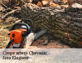 Coupe arbres chavanac-19290 Jean Elagueur