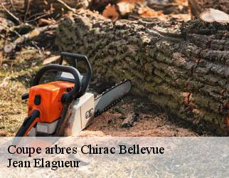 Coupe arbres chirac-bellevue-19160 Jean Elagueur