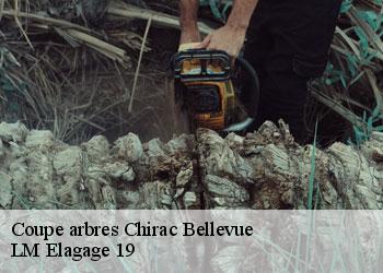 Coupe arbres chirac-bellevue-19160 LM Elagage 19