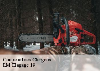 Coupe arbres 19320