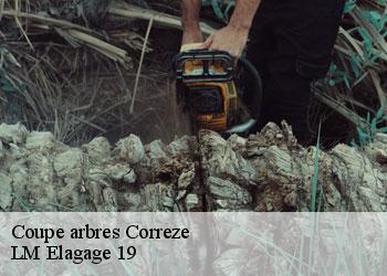 Coupe arbres correze-19800 LM Elagage 19