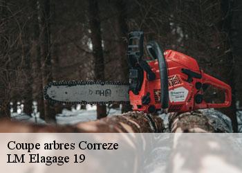 Coupe arbres 19800