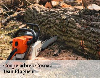 Coupe arbres cosnac-19360 Jean Elagueur