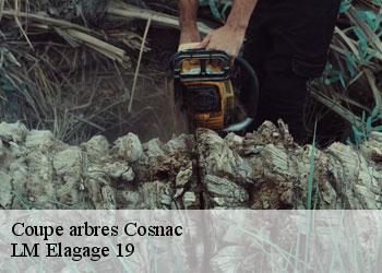 Coupe arbres cosnac-19360 LM Elagage 19