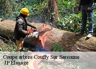 Coupe arbres couffy-sur-sarsonne-19340 JP Elagage