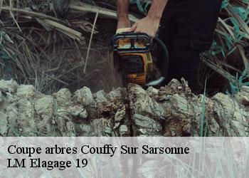 Coupe arbres couffy-sur-sarsonne-19340 LM Elagage 19