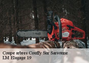 Coupe arbres 19340