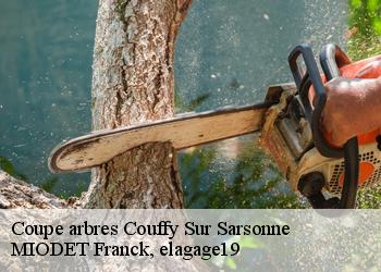 Coupe arbres  couffy-sur-sarsonne-19340 MIODET Franck, elagage19