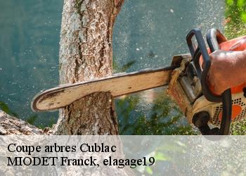 Coupe arbres  cublac-19520 MIODET Franck, elagage19