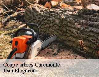 Coupe arbres curemonte-19500 Jean Elagueur