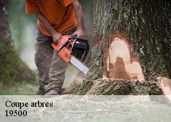 Coupe arbres 19500