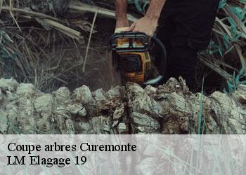 Coupe arbres  curemonte-19500 LM Elagage 19