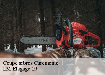 Coupe arbres  19500