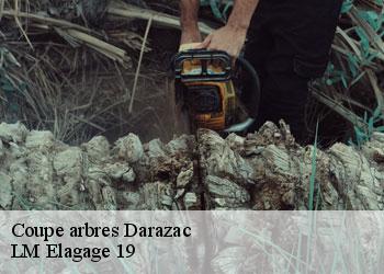 Coupe arbres darazac-19220 LM Elagage 19