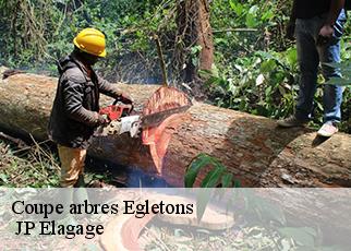 Coupe arbres egletons-19300 JP Elagage