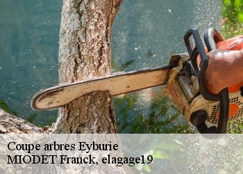 Coupe arbres  eyburie-19140 MIODET Franck, elagage19