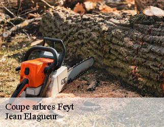 Coupe arbres feyt-19340 Jean Elagueur