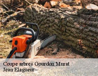 Coupe arbres gourdon-murat-19170 Jean Elagueur