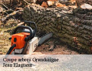 Coupe arbres  grandsaigne-19300 Jean Elagueur