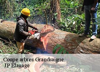 Coupe arbres grandsaigne-19300 JP Elagage