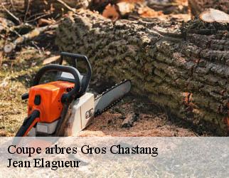 Coupe arbres gros-chastang-19320 Jean Elagueur