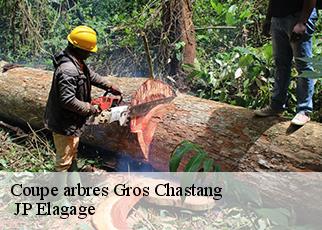 Coupe arbres gros-chastang-19320 JP Elagage